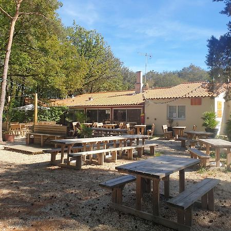 Mobilhome Proche Puy Dufou La Boissiere-de-Montaigu Luaran gambar
